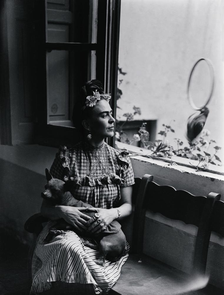 Fernando Memije